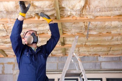 Ceiling Insulation - Insulation Installation And Removal Services Flowery Branch, Georgia